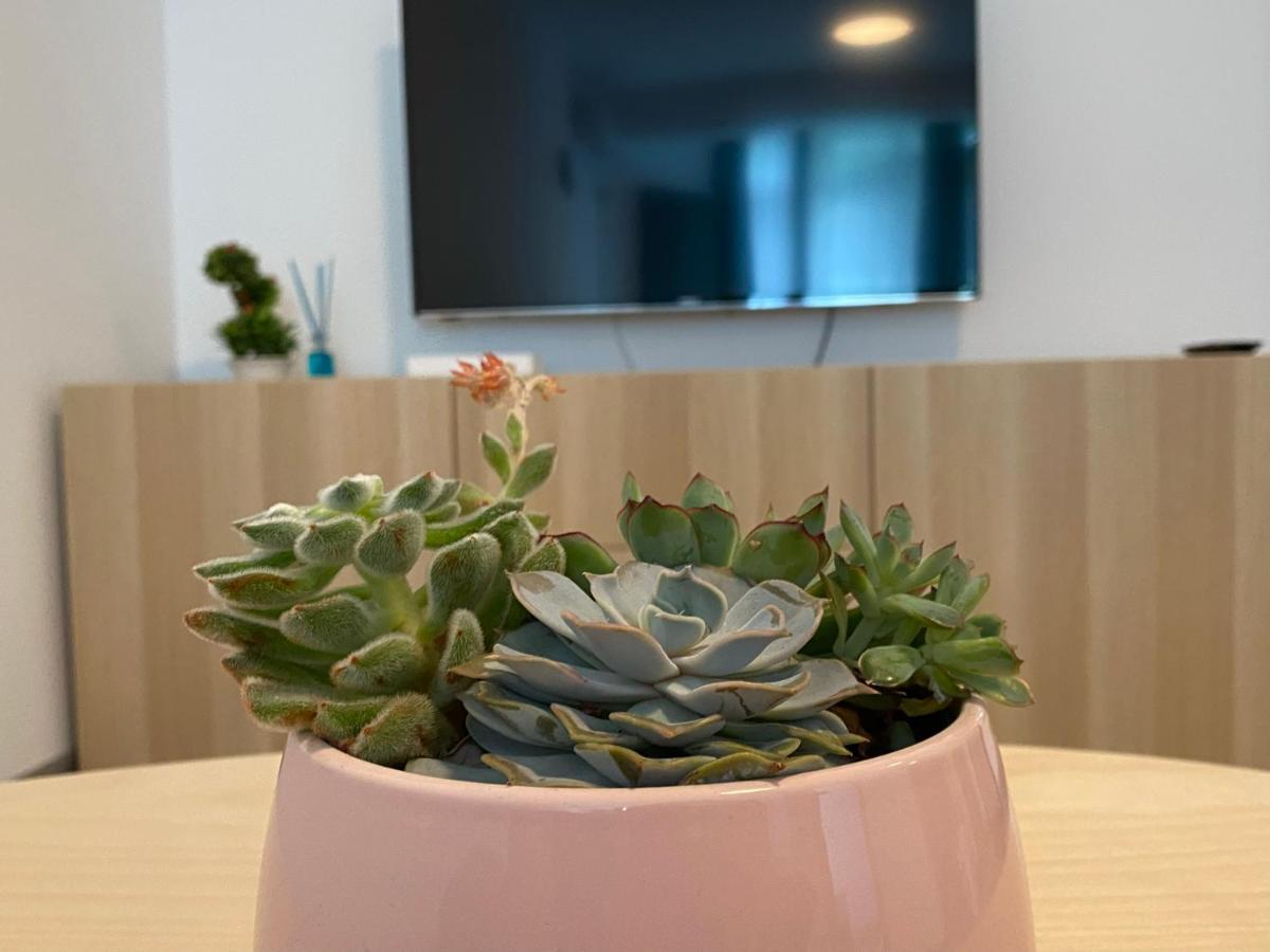 Deko Alezzi Mamaia Apartment