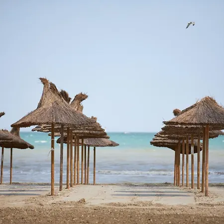 Deko Apartments Alezzi Beach Mamaia Năvodari Exterior foto